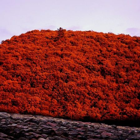 Le Mas De La Fontaine Panzió Le Pegue Kültér fotó
