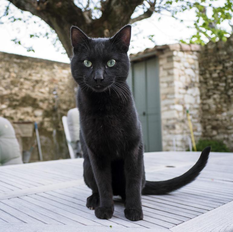 Le Mas De La Fontaine Panzió Le Pegue Kültér fotó